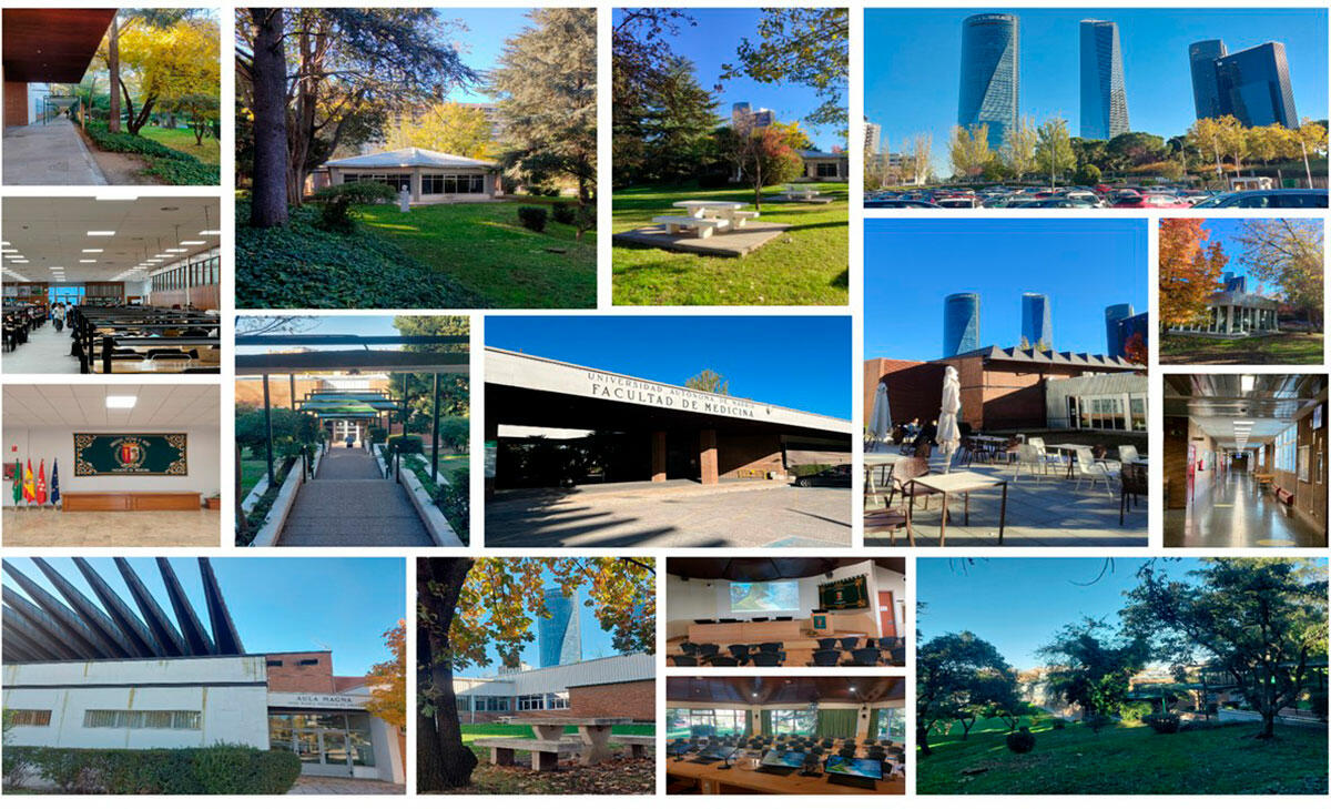 Faculty of Medicine UAM